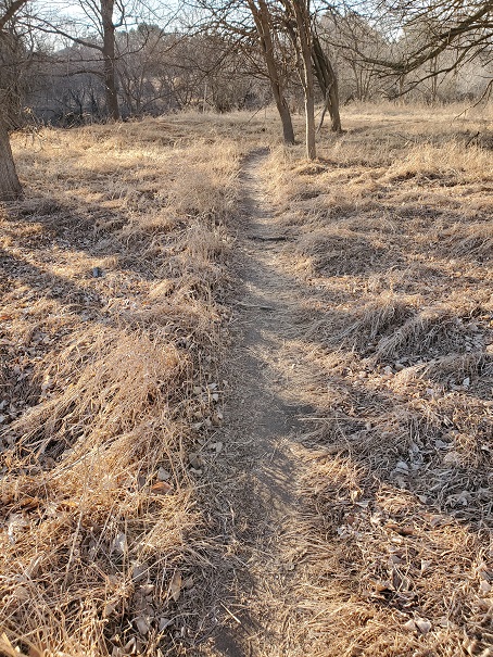 Trail